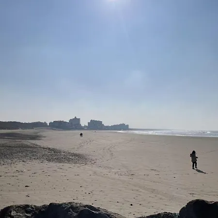 Le Phare Du Port *